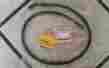 54011-1256 Kawasaki Clutch Cable