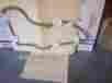 8103er Fram Gasket Maybe Honda By Item 8103