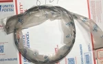 Motion Pro Pull Throttle Cable 02-155 Nos Honda CB550, CB750 (8764). Fixed Price $9.50.