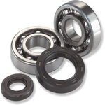 Moose Racing 24-1108 Crank Bearing And Seal Kit Husqvarna Wr 125,CR. Fixed Price $77.95.
