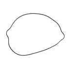 Cometic Clutch Cover Gasket For Suzuki RM250 1996-2004. Fixed Price $32.55.