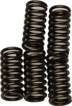 Ebc Series Clutch Springs +15% Kit CSK179 For 05-13 Ktm. Fixed Price $17.95.