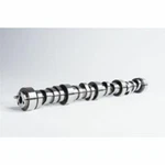 Motion Inc 03-01-0015 Camshaft Hydraulic Roller 0.621/0.604 Lift For Gm Ls. Fixed Price $399.00.