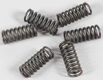Ebc Clutch Spring Kit CSK33. Fixed Price $12.94.