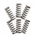 Tusk Clutch Spring Set TS-1077. Fixed Price $23.40.