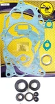 For Suzuki TS250 '77-81 DS250 '80 Crankcase + Clutch Cover Gasket Oil Seal New. Fixed Price $24.99.