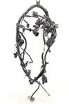 2022 Kawasaki Ninja EX400 Oem Main Engine Wiring Harness Motor Wire Loom. Fixed Price $169.13.