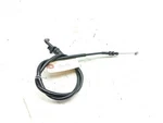 22 Moto CF125 Papio Throttle Cable Lines. Fixed Price $24.99.
