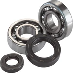 Moose Racing Crankshaft Bearing Kit For Husqvarna Ktm 125 150 200. Fixed Price $143.05.