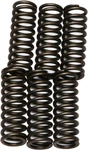 Ebc Clutch Spring Set CSK62. Fixed Price $24.13.