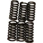 Ebc Brakes Clutch Springs CSK80. Fixed Price $18.30.