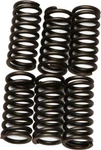 Ebc Clutch Spring Kit CSK80. Fixed Price $12.98.