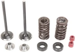 Moose Exhaust Valve/spring Kit Honda CRF250X/CRF250R. Fixed Price $217.95.