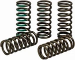 Pro Circuit CSK19450-CS Clutch Springs. Fixed Price $82.66.