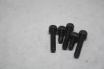 Stator Mounting Bolt 5PCS 91317-05025-00 2002 Yamaha Raptor YFM660RP. Fixed Price $10.00.