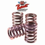 Barnett Clutch Spring Kit For 1992-1993 Yamaha TDM850 Engine & Es. Fixed Price $41.09.