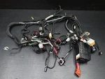 Buell XB12X Ulysses Genuine Main Wiring Harness Oem Wire Loom Electrical Cable. Fixed Price $208.91.