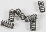 Ebc CSK139 Clutch Springs. Fixed Price $22.29.