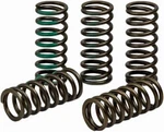 Pro Circuit CSK19450-CS High Performance Clutch Springs. Fixed Price $93.19.