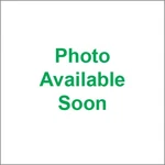 Galfer Brakes FK003D670CL-OLD Metric Cruiser Stainless Steel Hydraulic Clutch. Fixed Price $50.00.